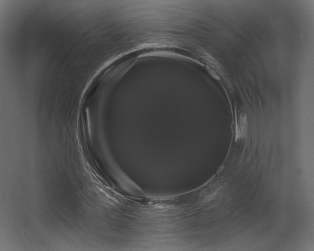 X0000068290387200604211142