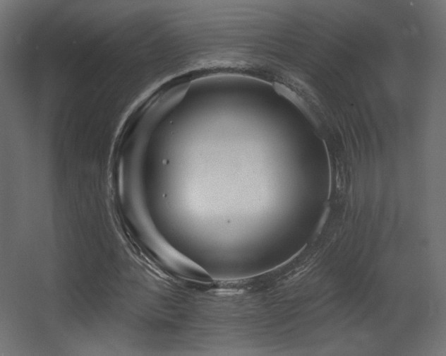 X0000068290388200604211142