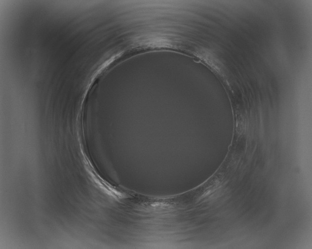 X0000068290390200604211142