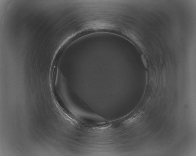 X0000068290391200604211142