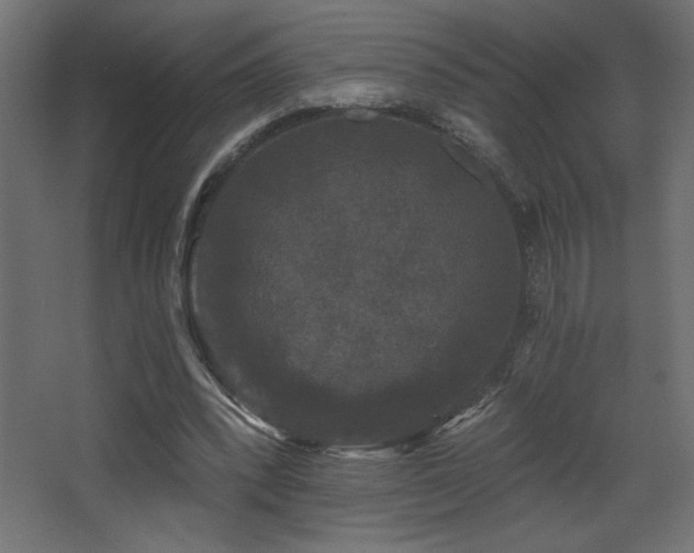 X0000068290392200604211142