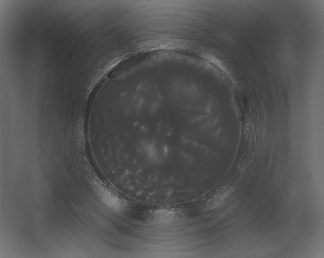 X0000068290394200604211142