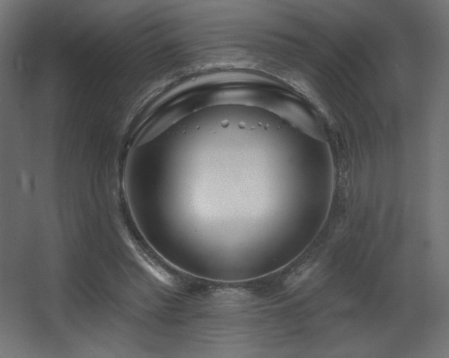 X0000068290397200604211142