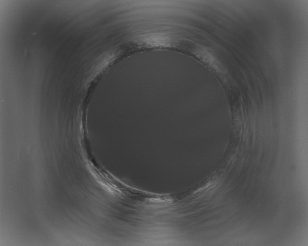 X0000068290398200604211142