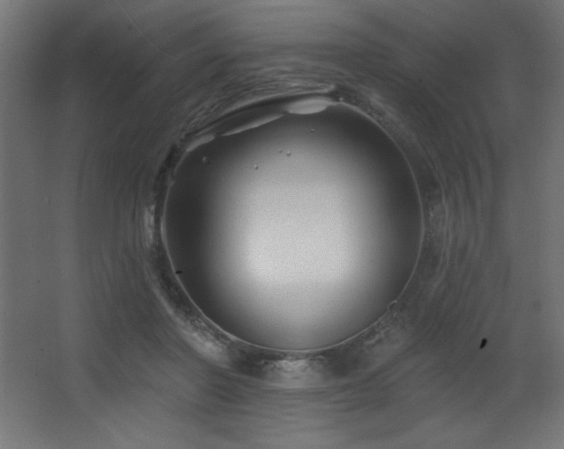 X0000068290406200604211142