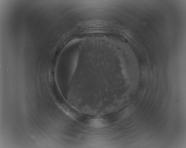 X0000068290408200604211142