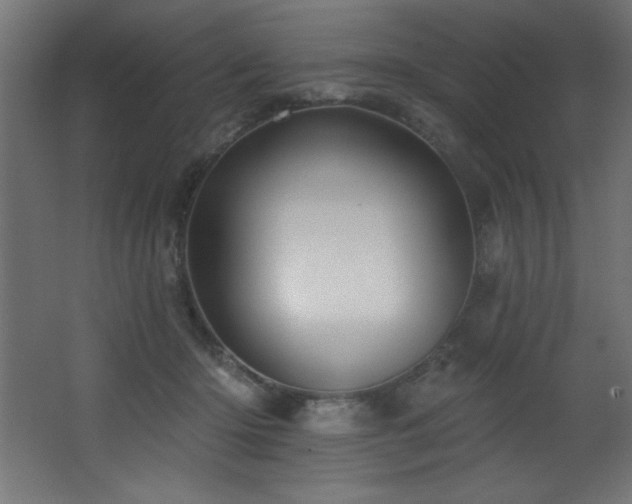 X0000068290414200604211142