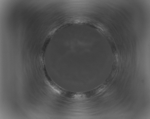 X0000068290415200604211142