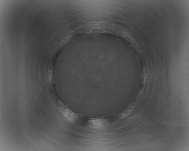 X0000068290417200604211142