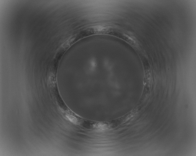 X0000068290419200604211142