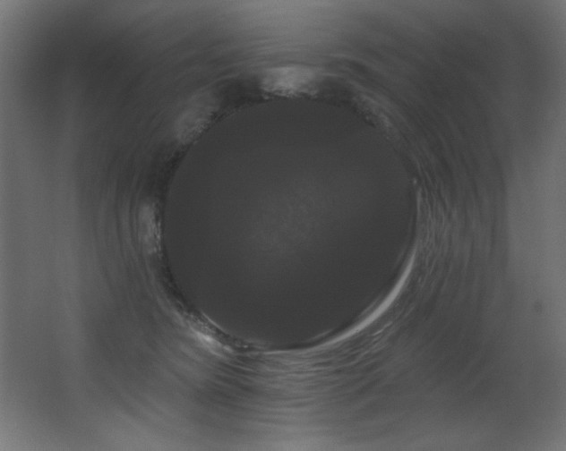X0000068290420200604211142