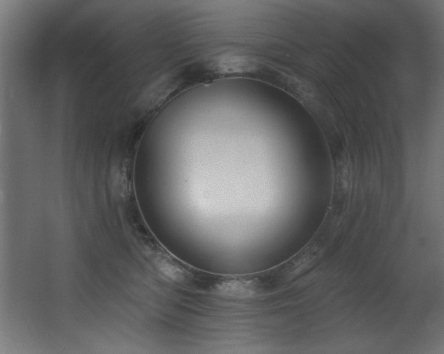 X0000068290422200604211142