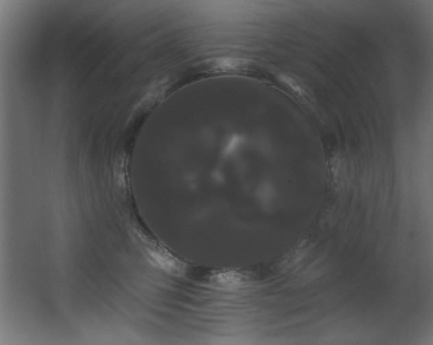 X0000068290423200604211142