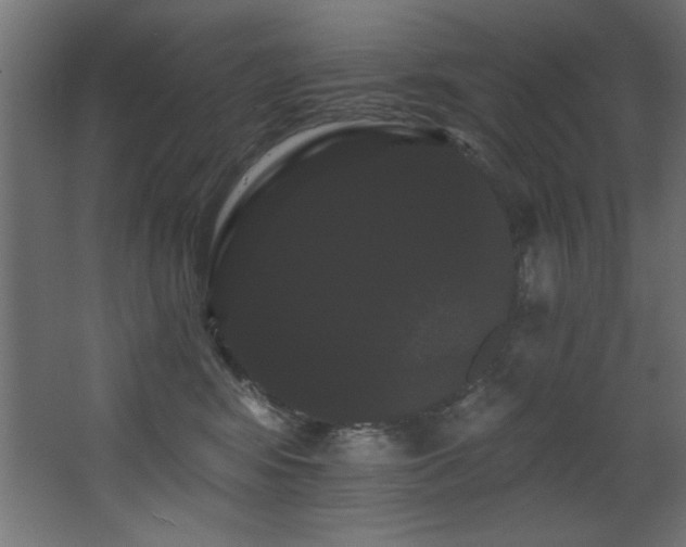 X0000068290424200604211142