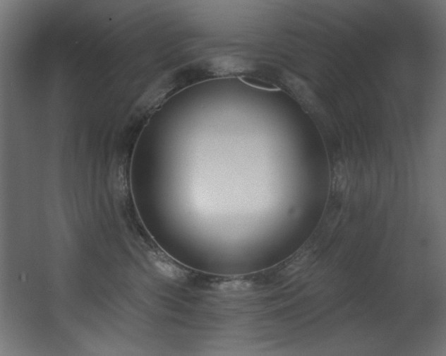 X0000068290426200604211142