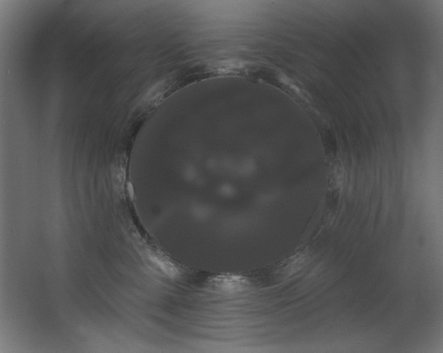 X0000068290427200604211142