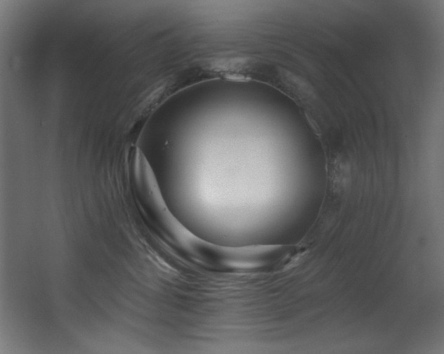 X0000068290428200604211142