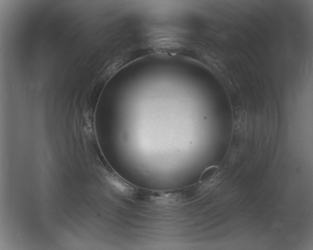 X0000068290430200604211142