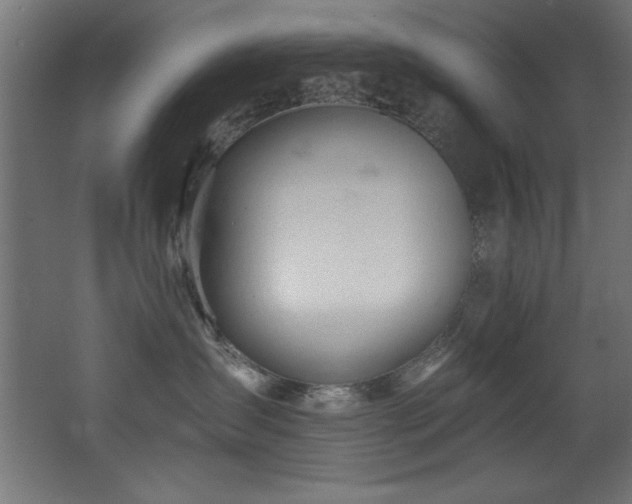 X0000068290431200604211142