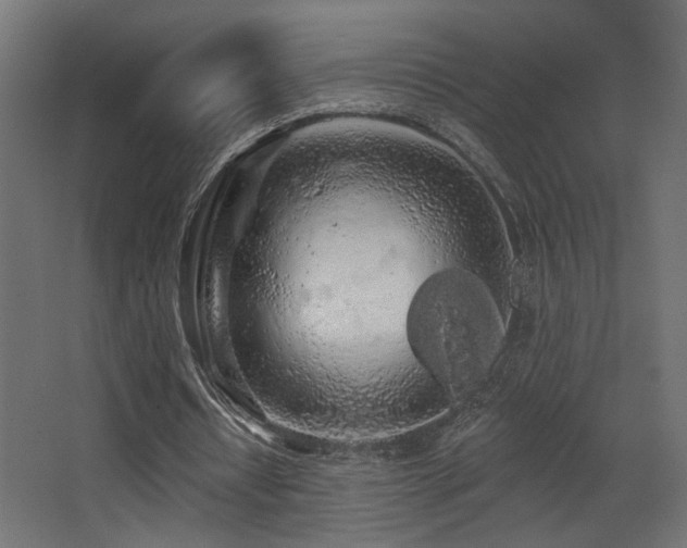 X0000068290434200604211141
