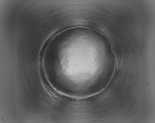 X0000068290435200604211141