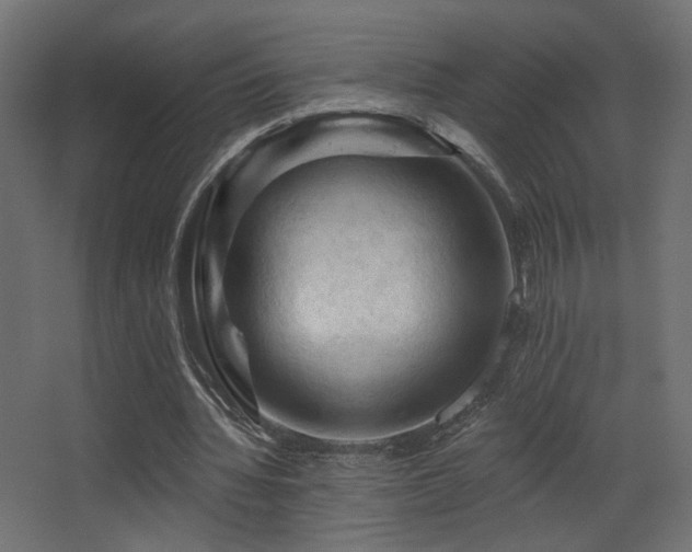 X0000068290436200604211141