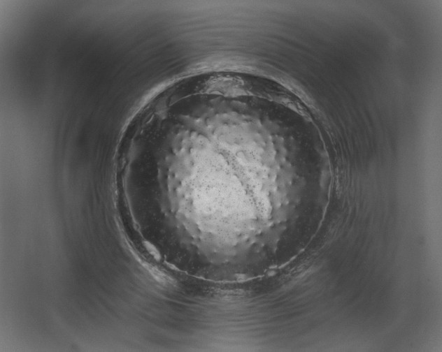 X0000068290438200604211141