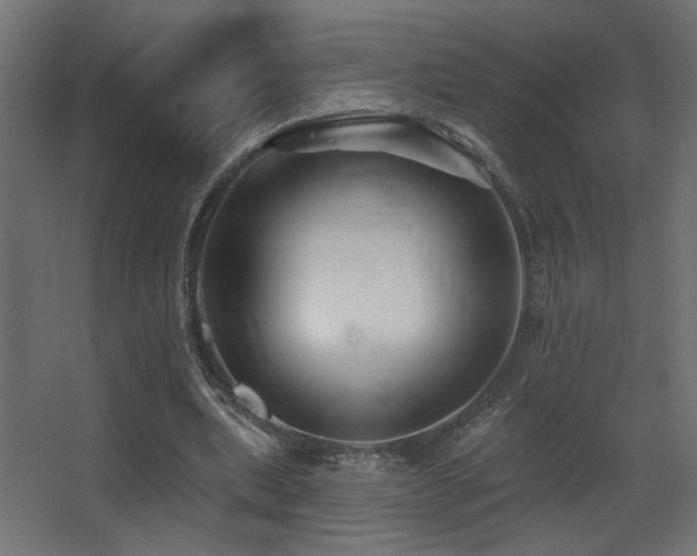 X0000068290439200604211141