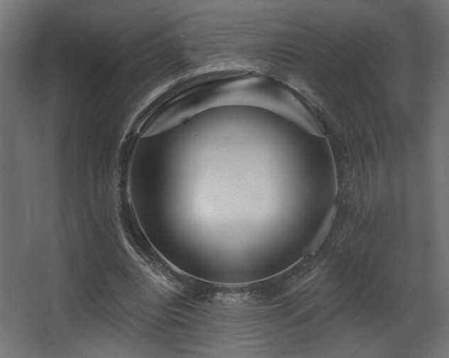 X0000068290440200604211141