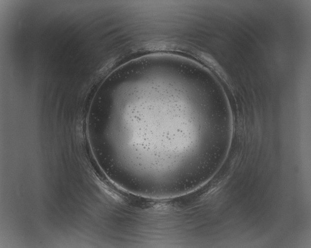 X0000068290441200604211141
