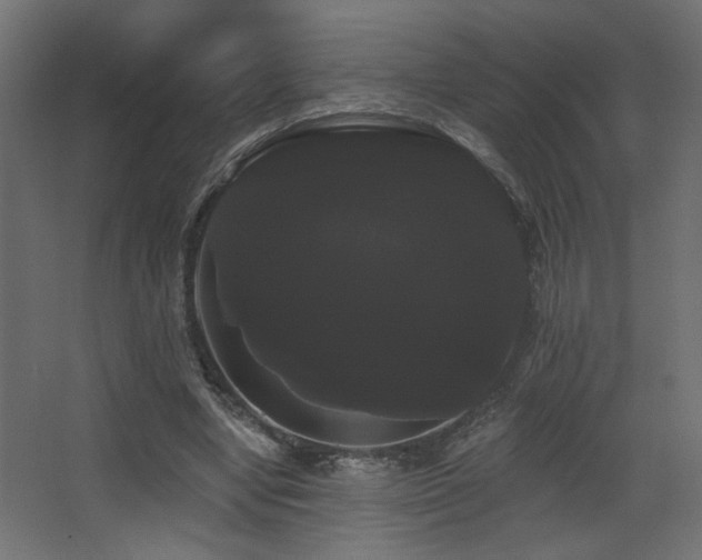 X0000068290442200604211141