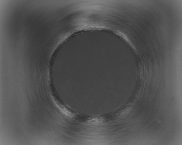 X0000068290447200604211141