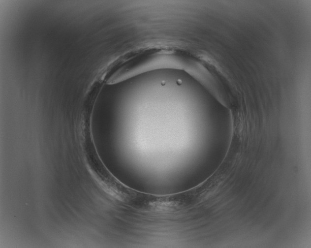 X0000068290448200604211141