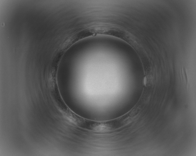 X0000068290460200604211141