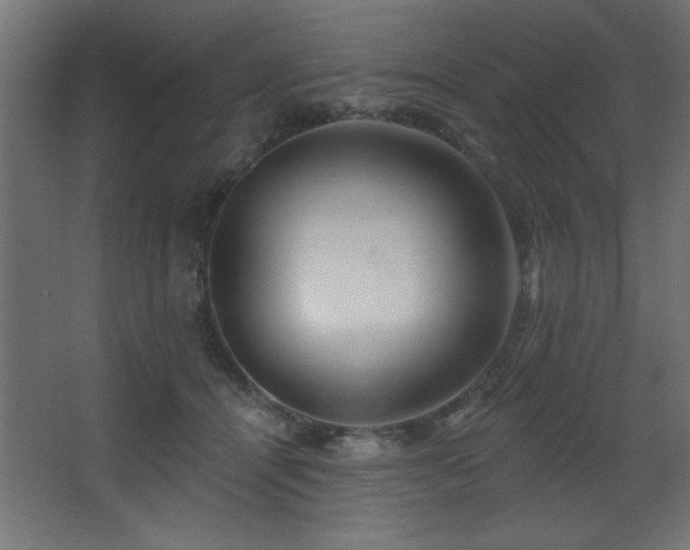 X0000068290464200604211141