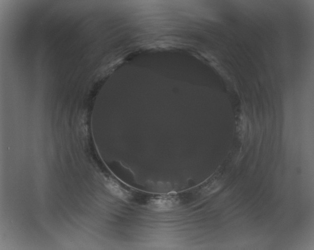 X0000068290466200604211141