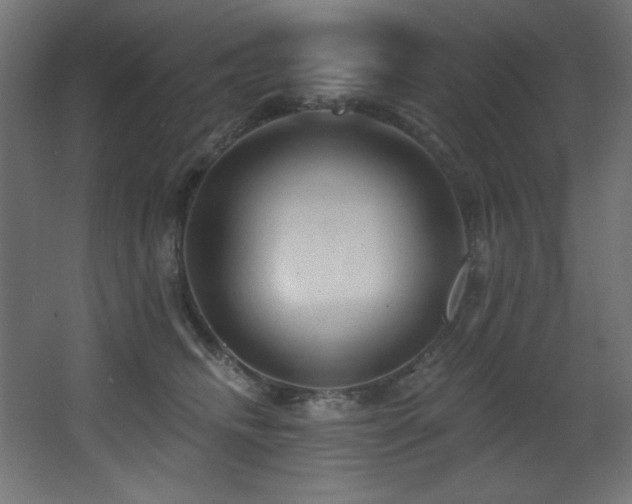 X0000068290468200604211141