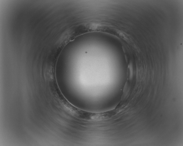 X0000068290470200604211141