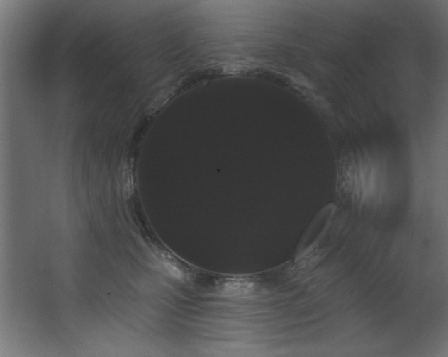 X0000068290471200604211141