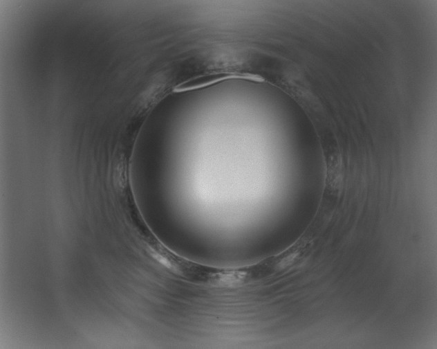 X0000068290474200604211142