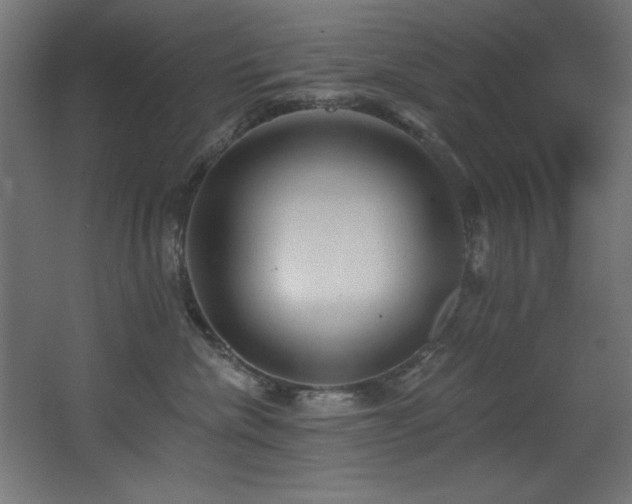 X0000068290476200604211142