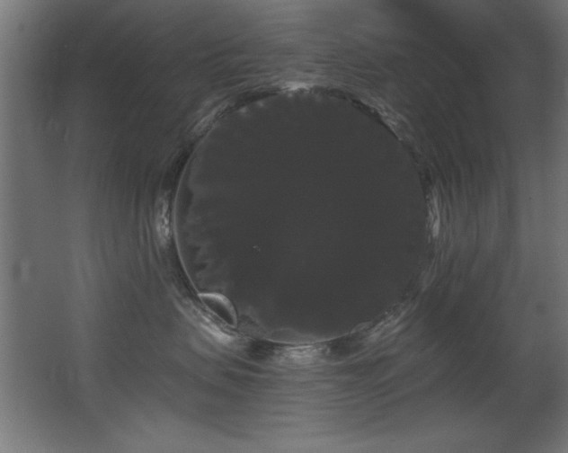 X0000068290479200604211142