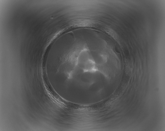 X0000068290482200604211141