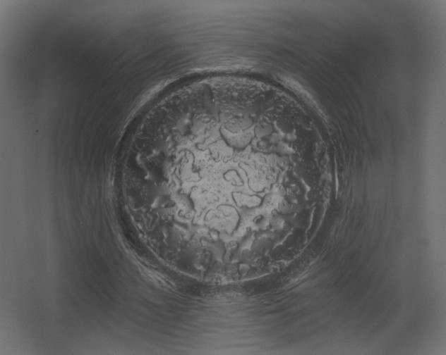 X0000068290483200604211141