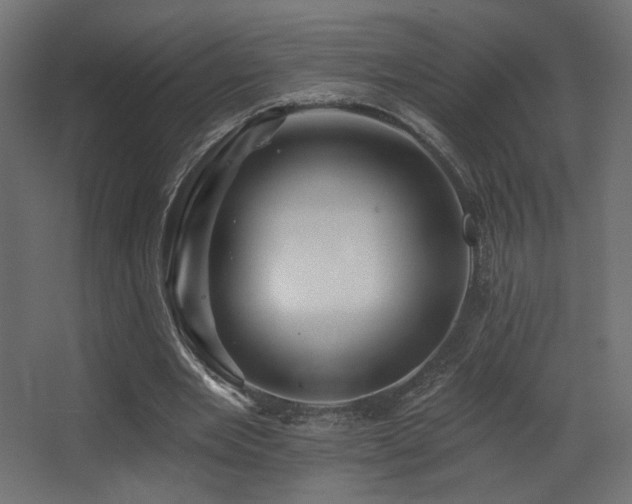 X0000068290485200604211141