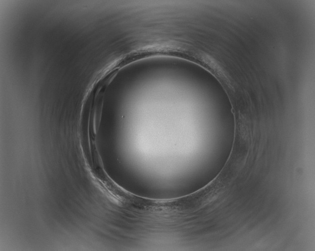 X0000068290486200604211141