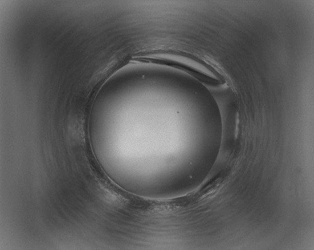 X0000068290489200604211141