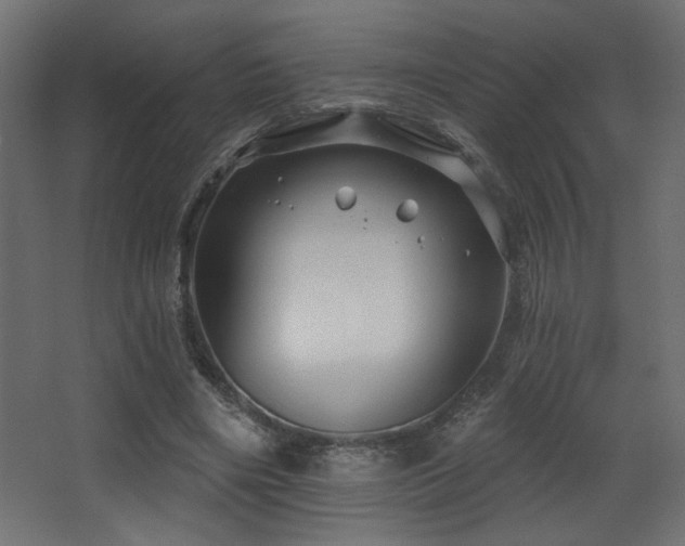 X0000068290490200604211141