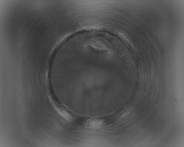 X0000068290491200604211141