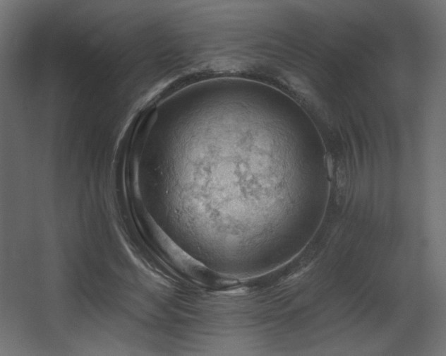 X0000068290492200604211141